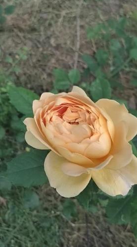 Косметолог Екатерина Ришон-ле-Цион