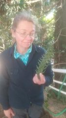 Daria Sukhova Online