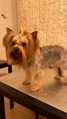 Илона Беэр-Шева