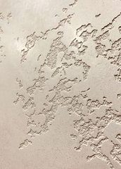 Anastasia Холон