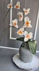 Mika & Mama Тель-Авив