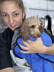 Pet Groom Style Кирьят-Ям