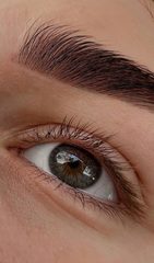 Елена Ашдод